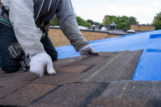 Best Metal Roofing Contractor  in Johnstown, CO